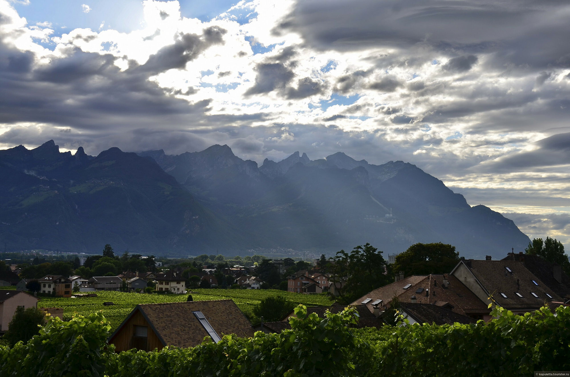 Aigle